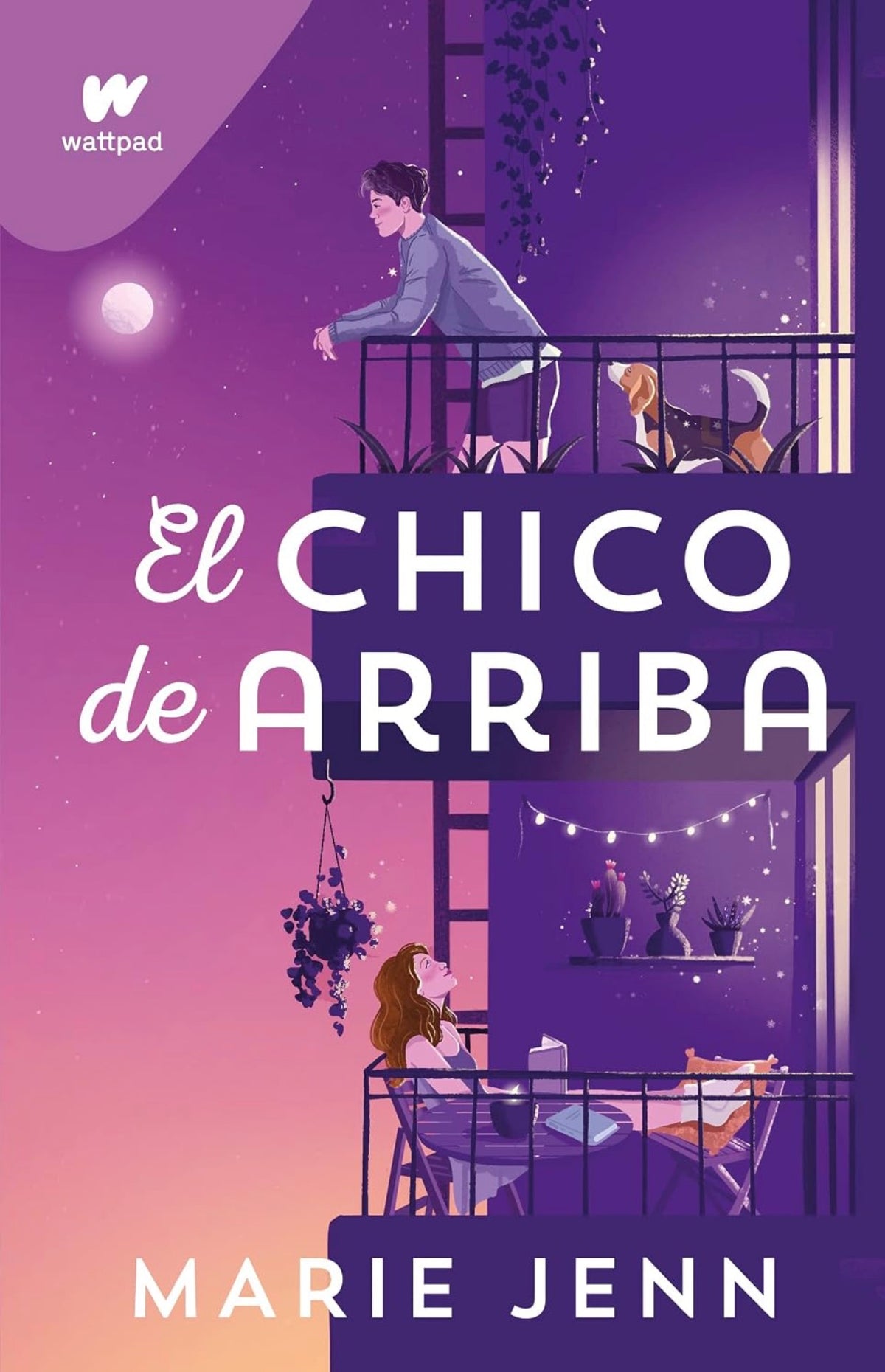 El chico de arriba